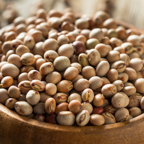 Pigeon Peas (Toor Dal)